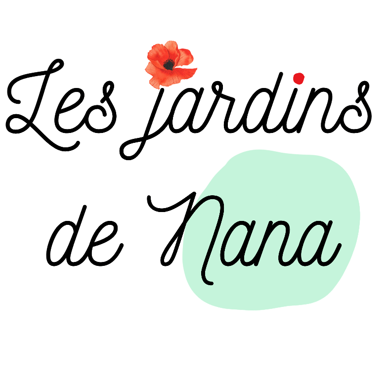 Logo transparent