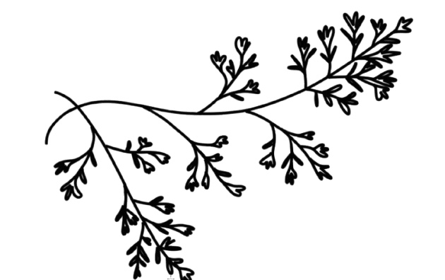 plantes-bio.jpg-removebg-preview