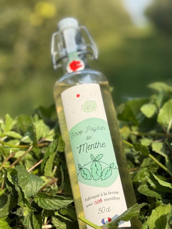 Sirop de menthe artisanal – Image 3
