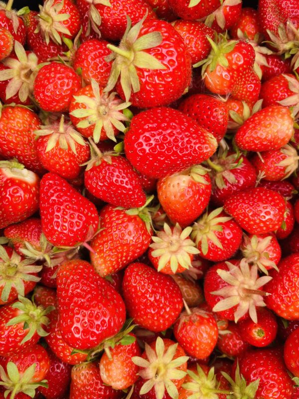 Sirop de fraise artisanal – Image 6