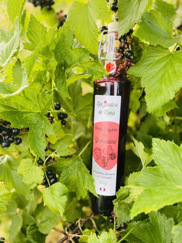 Sirop de grenadine artisanal – Image 11