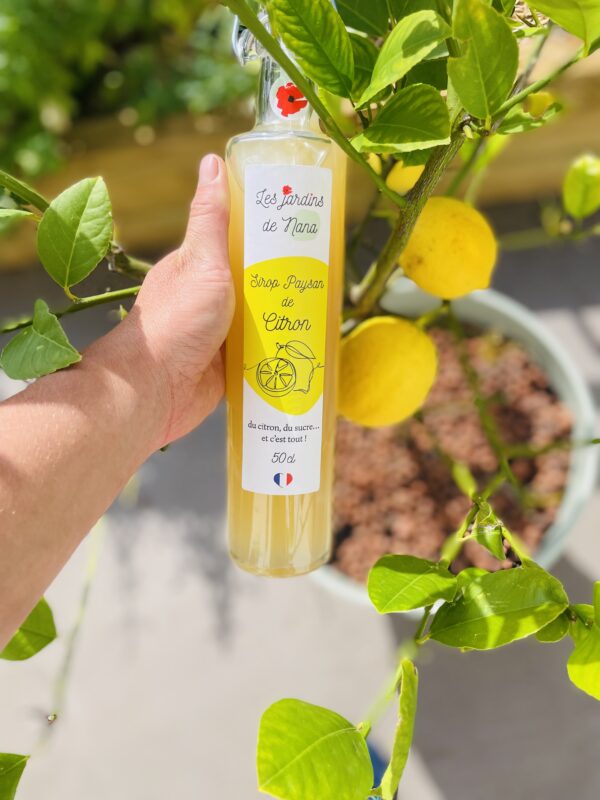 Sirop de citron artisanal – Image 8