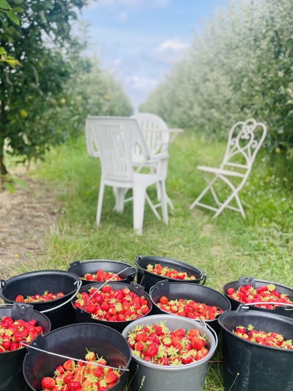 Sirop de fraise artisanal – Image 5
