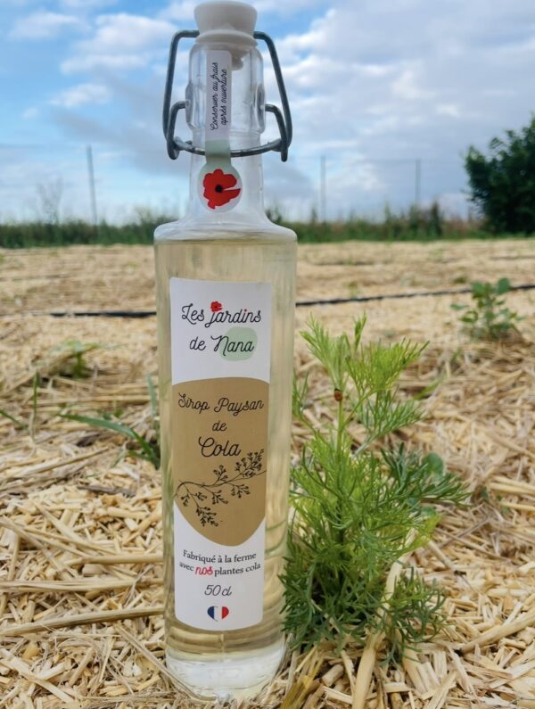 Sirop de cola artisanal