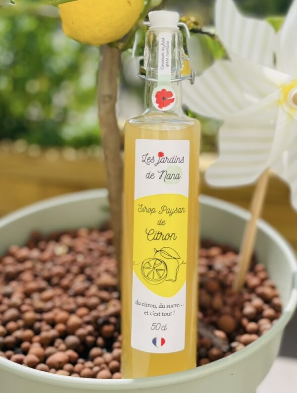 Sirop de citron artisanal