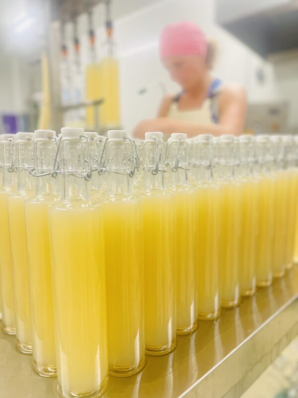 Sirop de citron artisanal – Image 5
