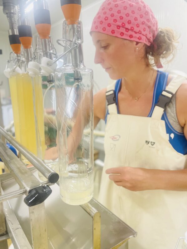 Sirop de citron artisanal – Image 6