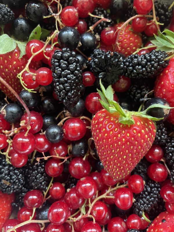Sirop de grenadine artisanal – Image 3