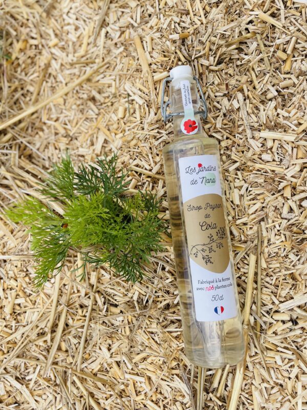 Sirop de cola artisanal – Image 9