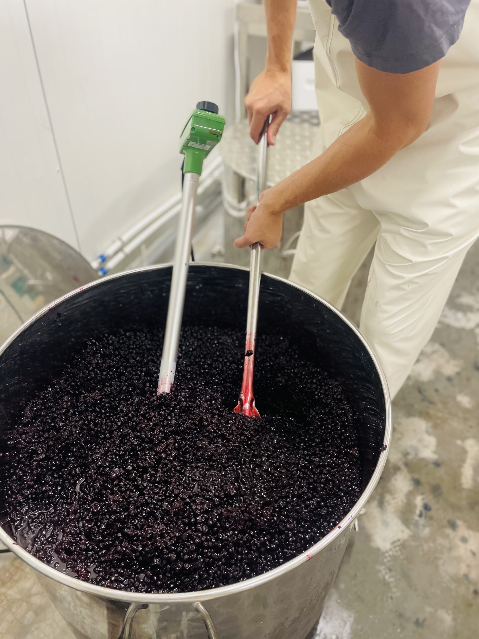Sirop de cassis artisanal – Image 5