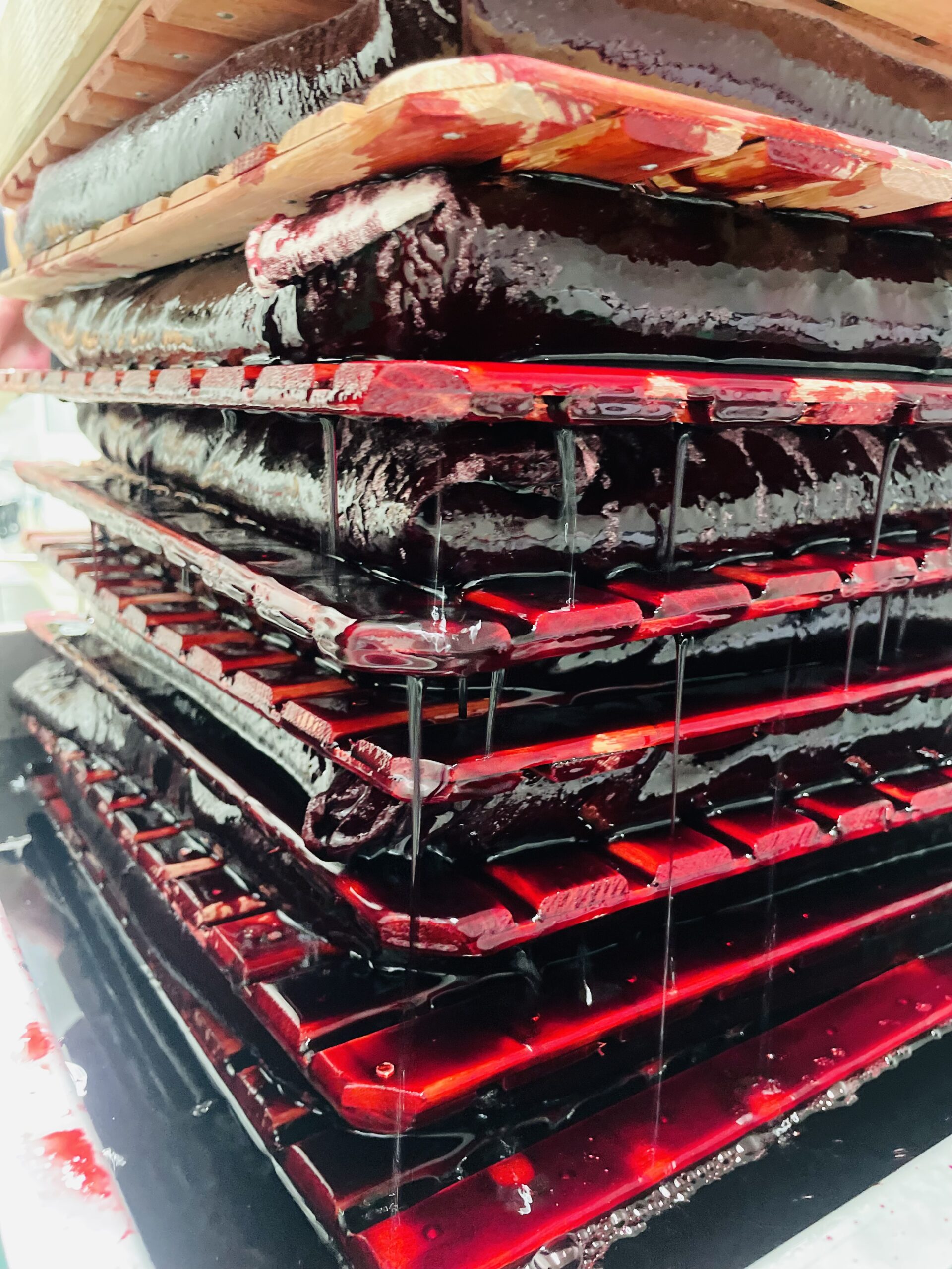 Sirop de cassis artisanal – Image 10