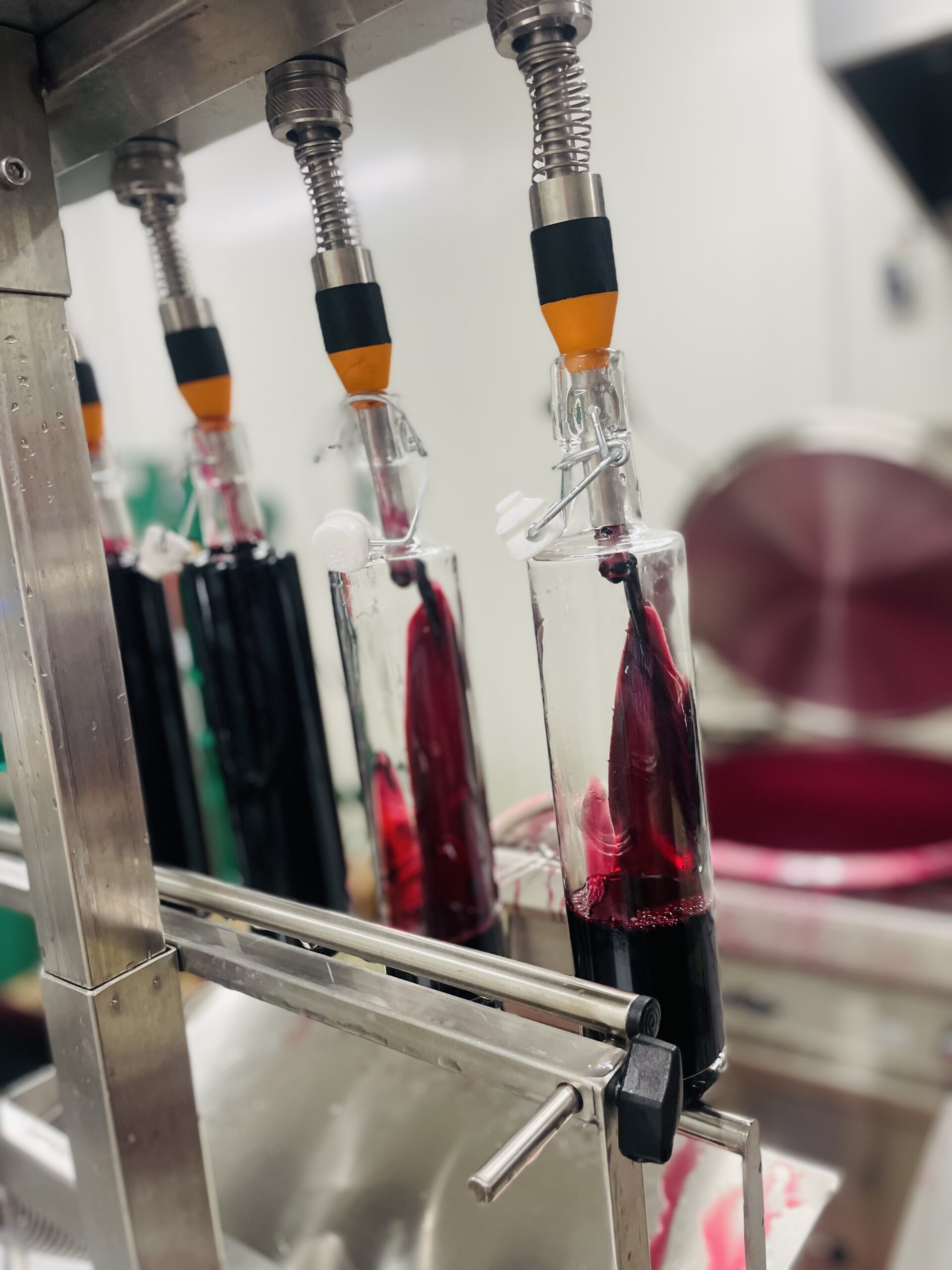 Sirop de cassis artisanal – Image 13