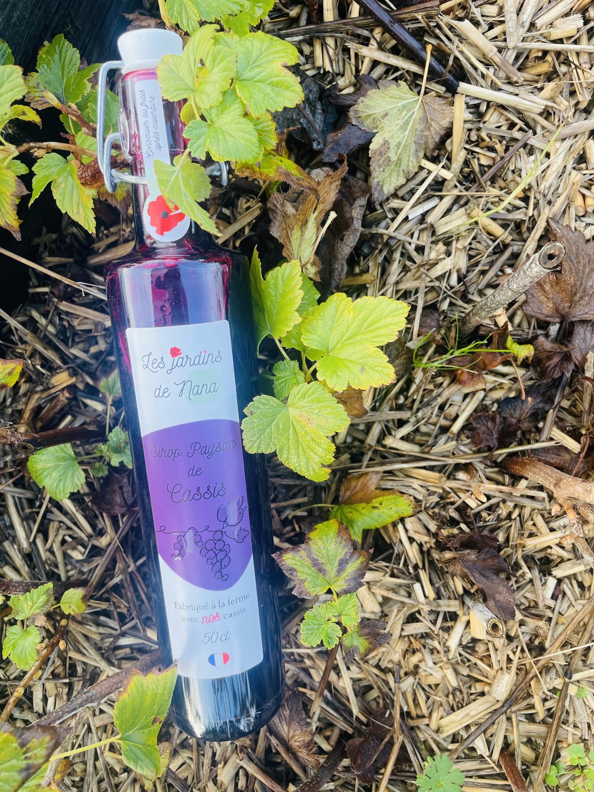 Sirop de cassis artisanal – Image 15