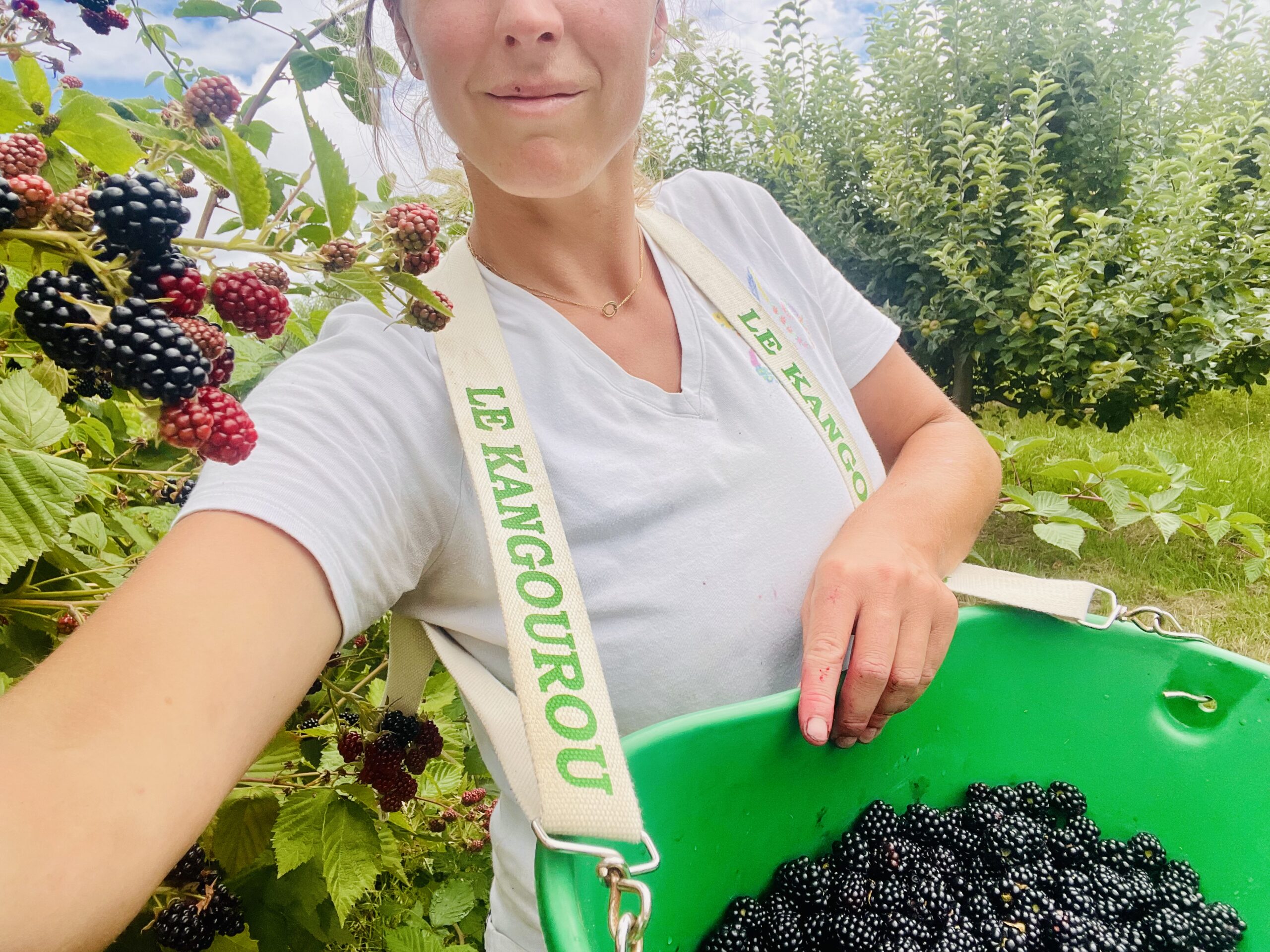 Sirop de mûre artisanal – Image 4