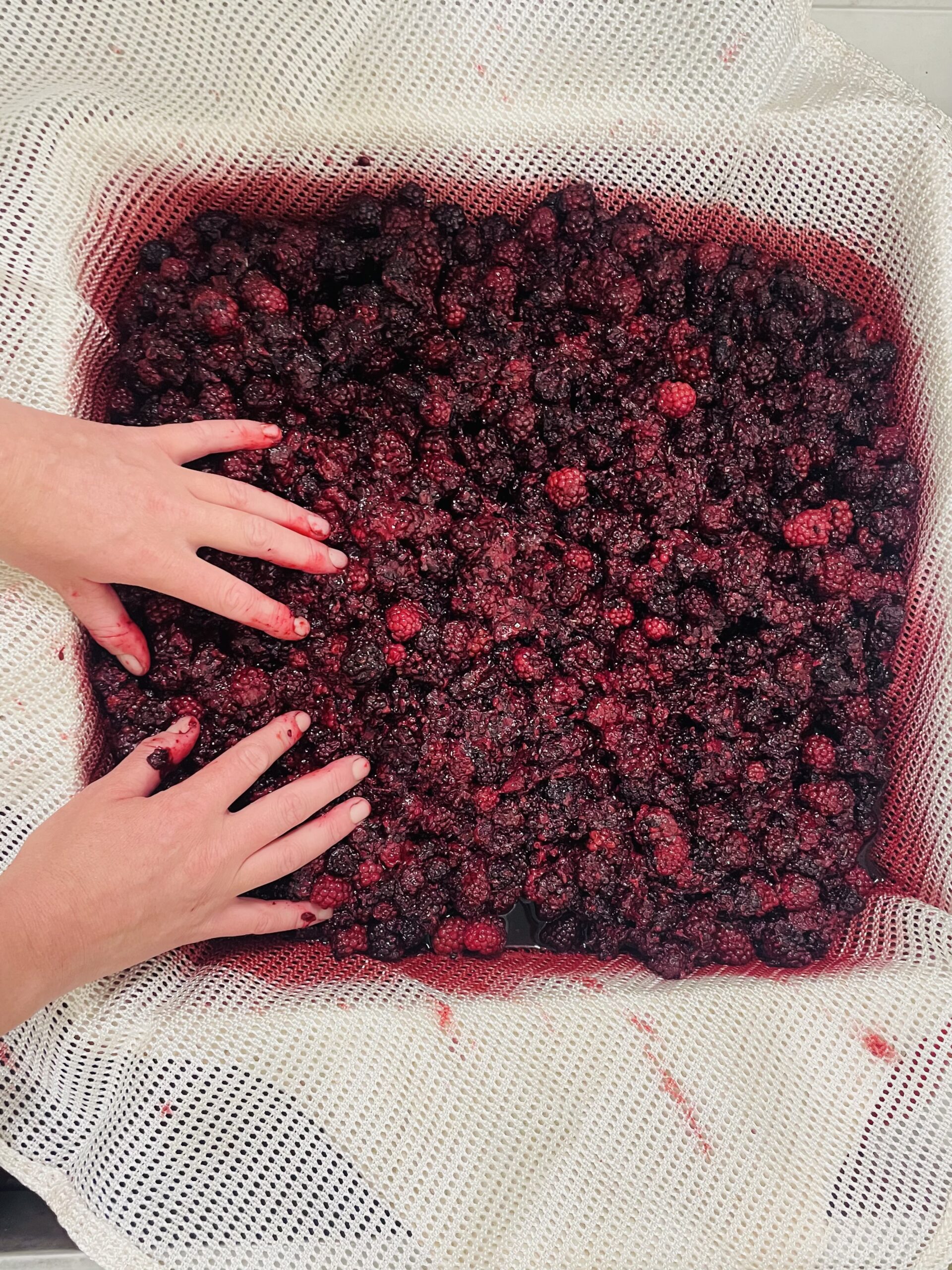 Sirop de mûre artisanal – Image 8