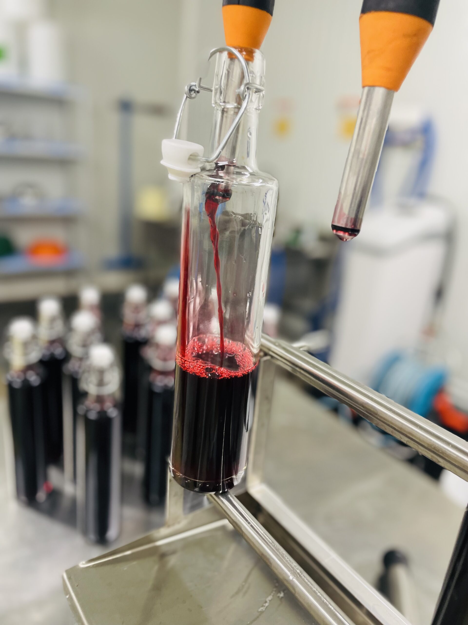 Sirop de mûre artisanal – Image 11