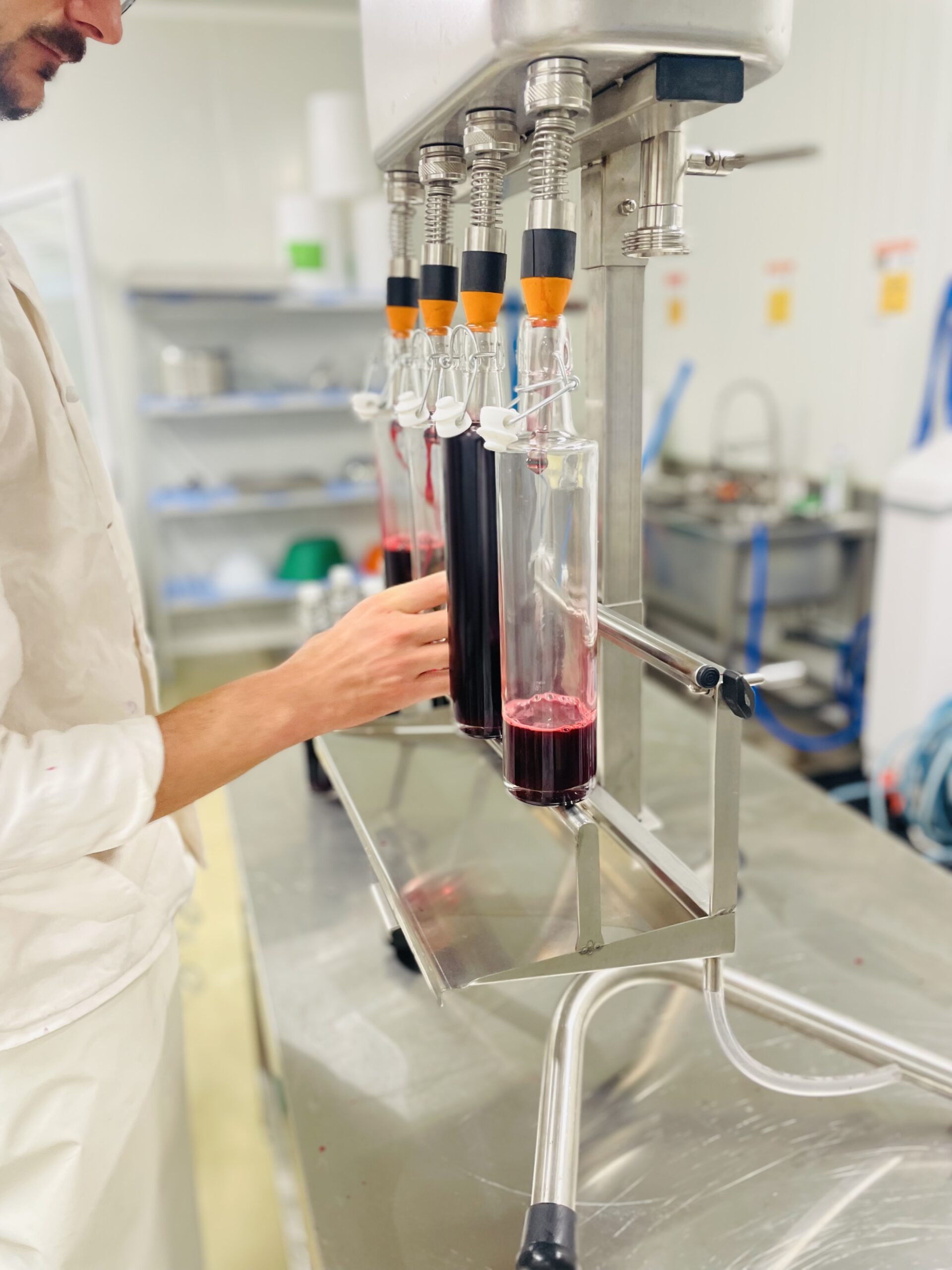 Sirop de mûre artisanal – Image 10