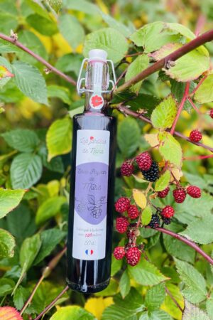 Sirop de mûre artisanal