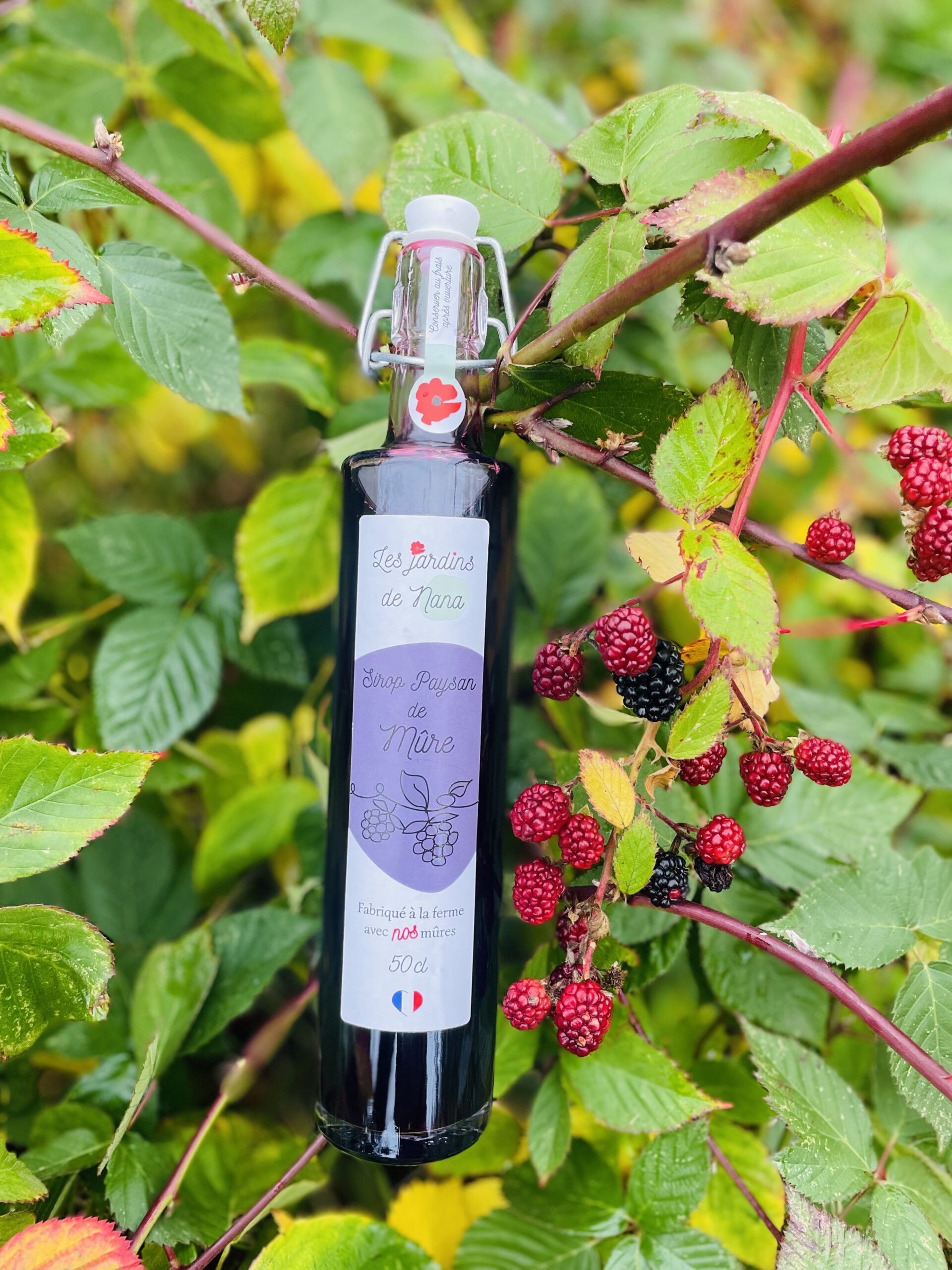 Sirop de mûre artisanal