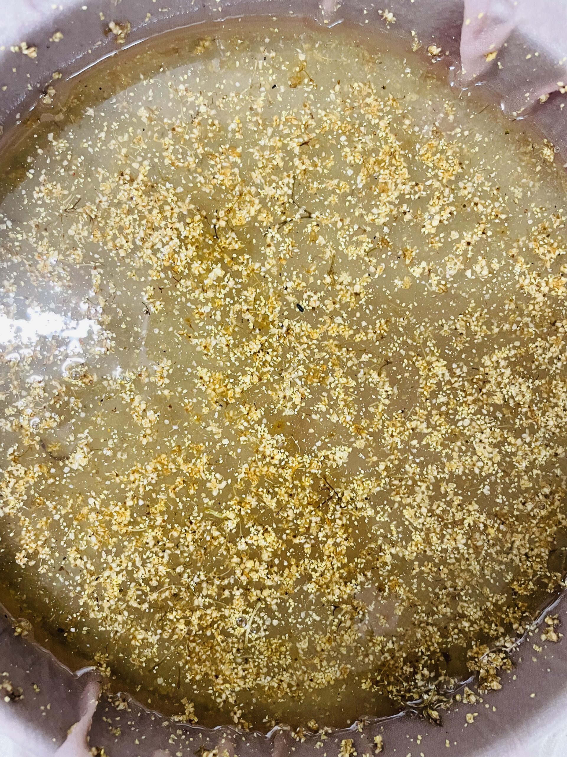 Sirop de sureau artisanal – Image 5