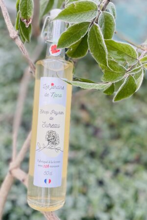 Sirop de sureau artisanal