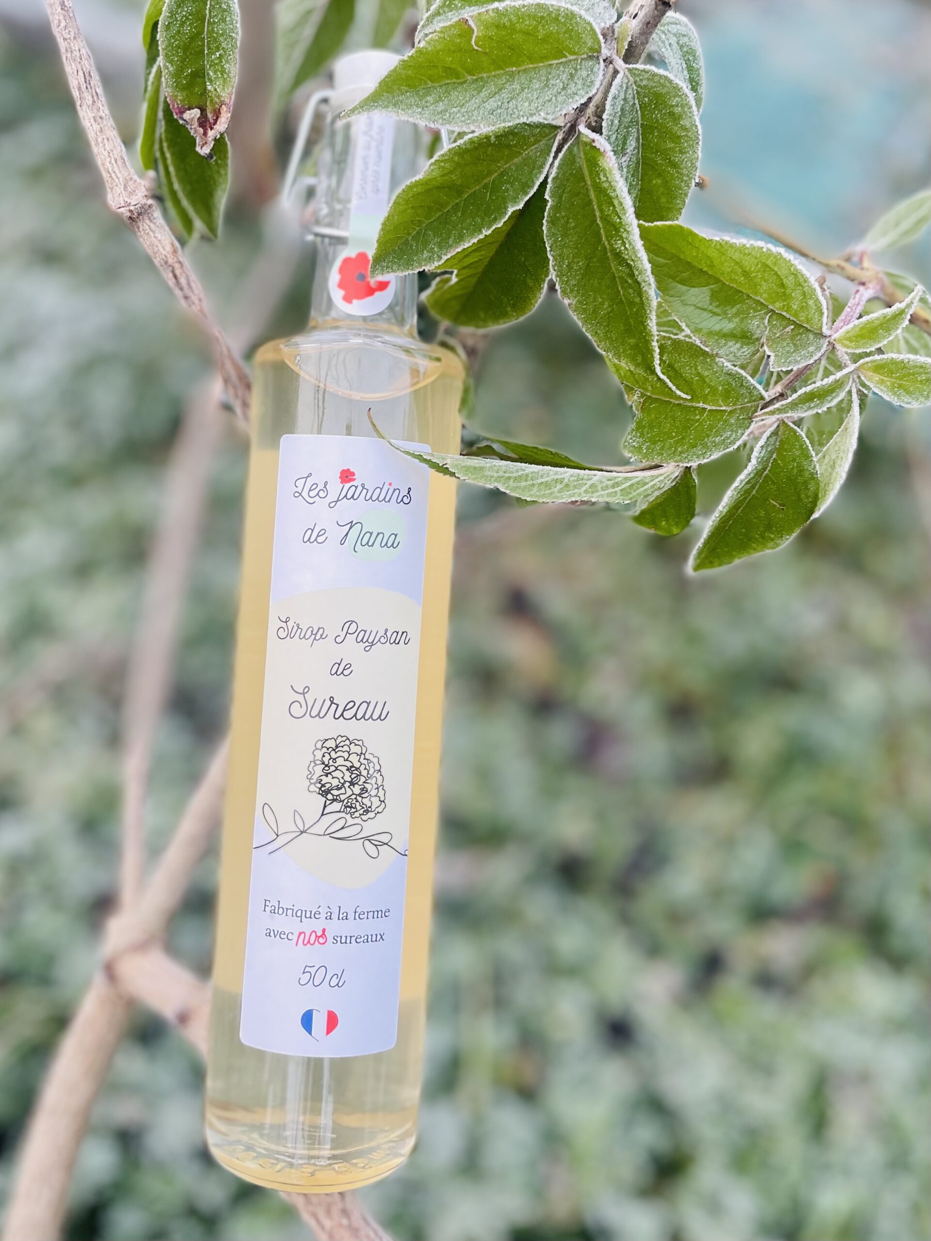 Sirop de sureau artisanal