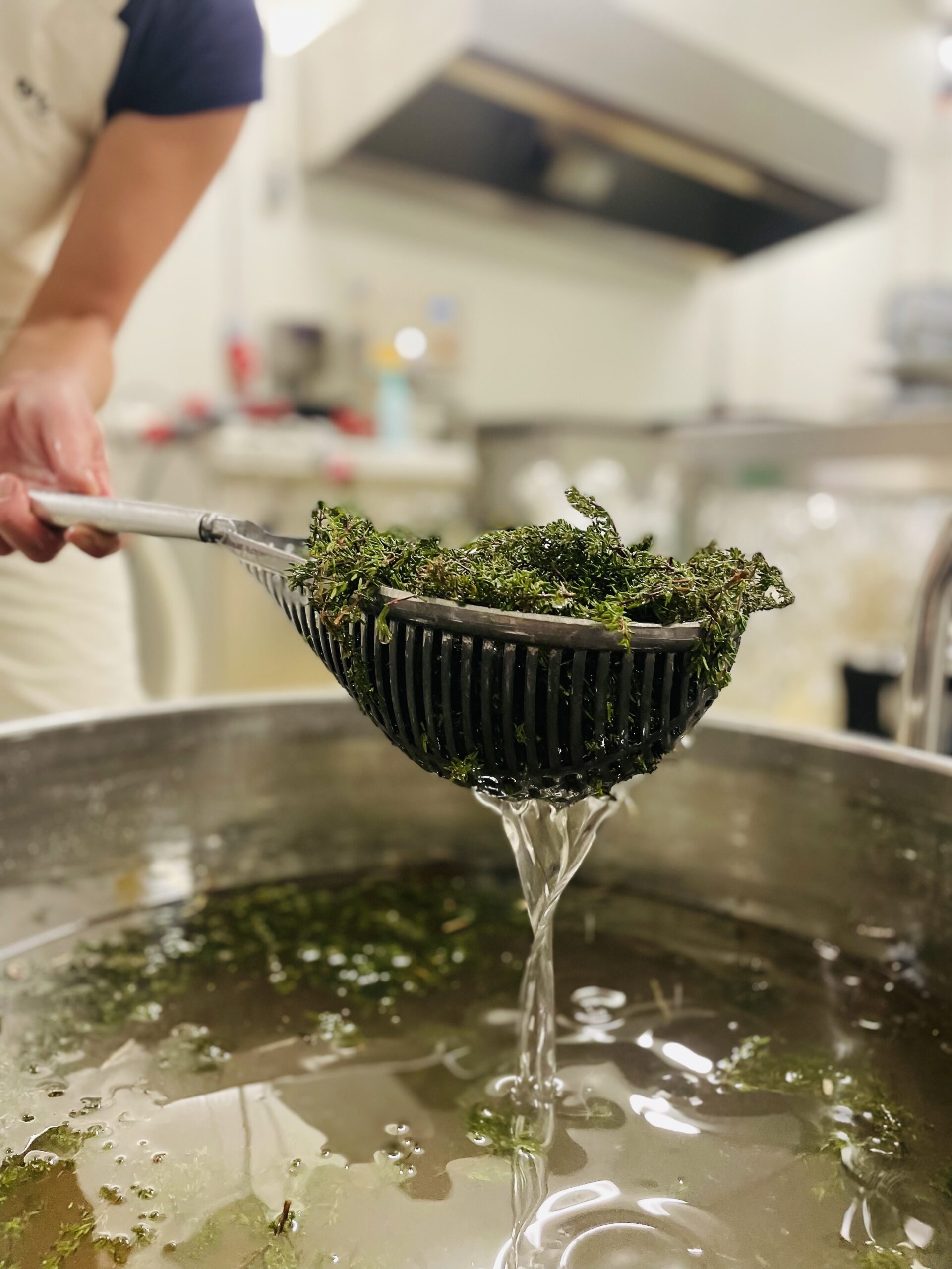 Sirop de thym artisanal – Image 9