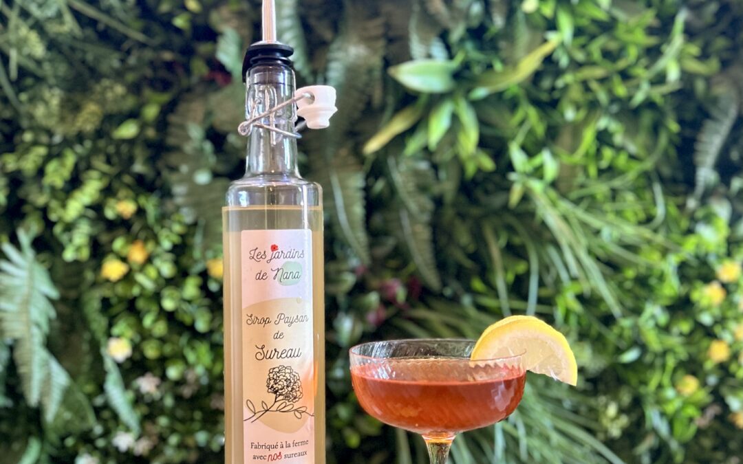 Spritz au sureau