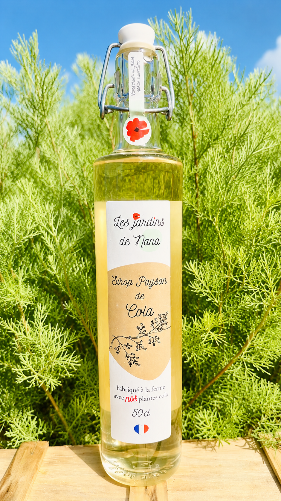 Sirop de cola artisanal