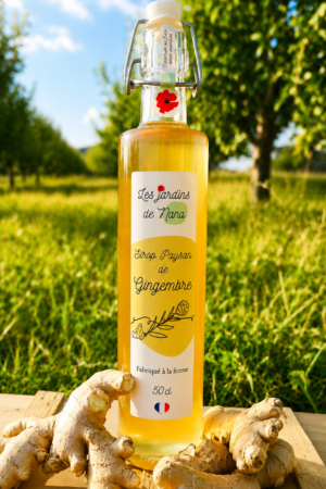 Sirop de gingembre artisanal