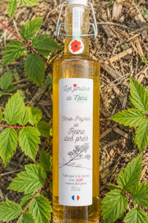 Sirop de reine des prés artisanal