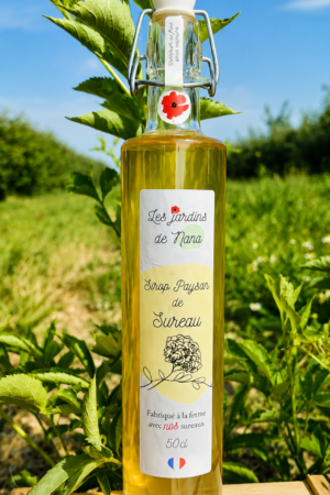 Sirop de sureau artisanal