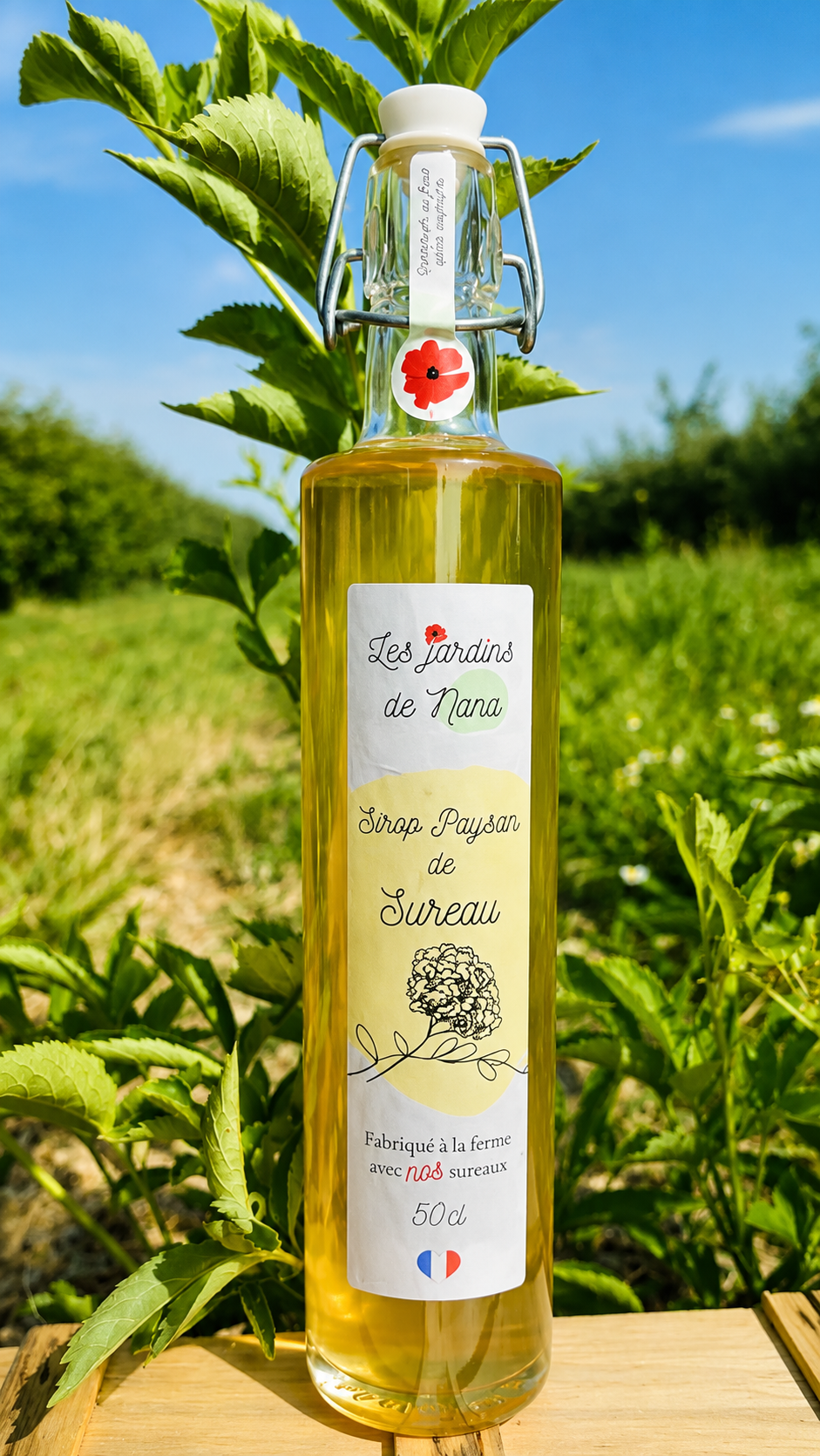 Sirop de sureau artisanal