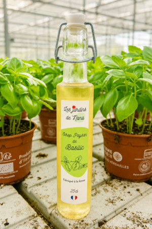 Sirop de basilic artisanal