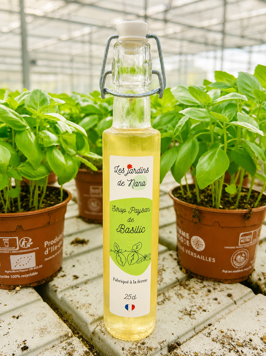Sirop de basilic artisanal