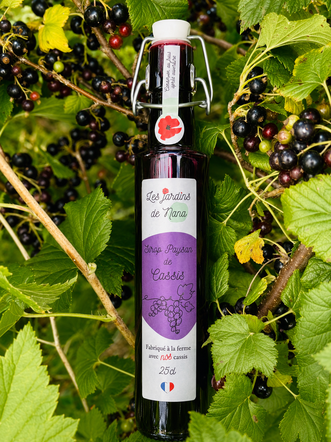 Sirop de cassis artisanal