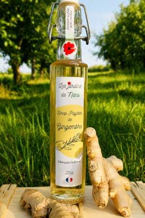 Sirop de gingembre artisanal