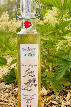 Sirop de reine des prés artisanal