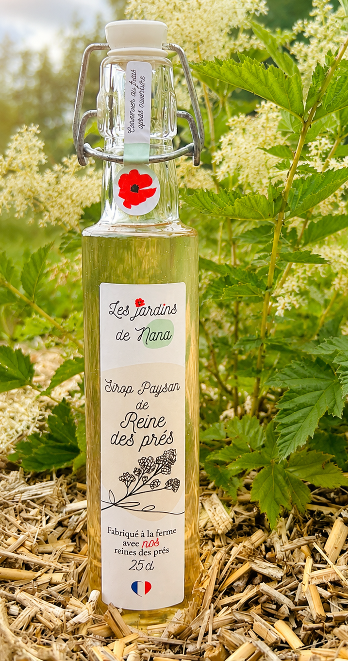 Sirop de reine des prés artisanal