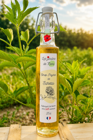 Sirop de sureau artisanal